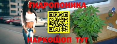 шишки Бугуруслан