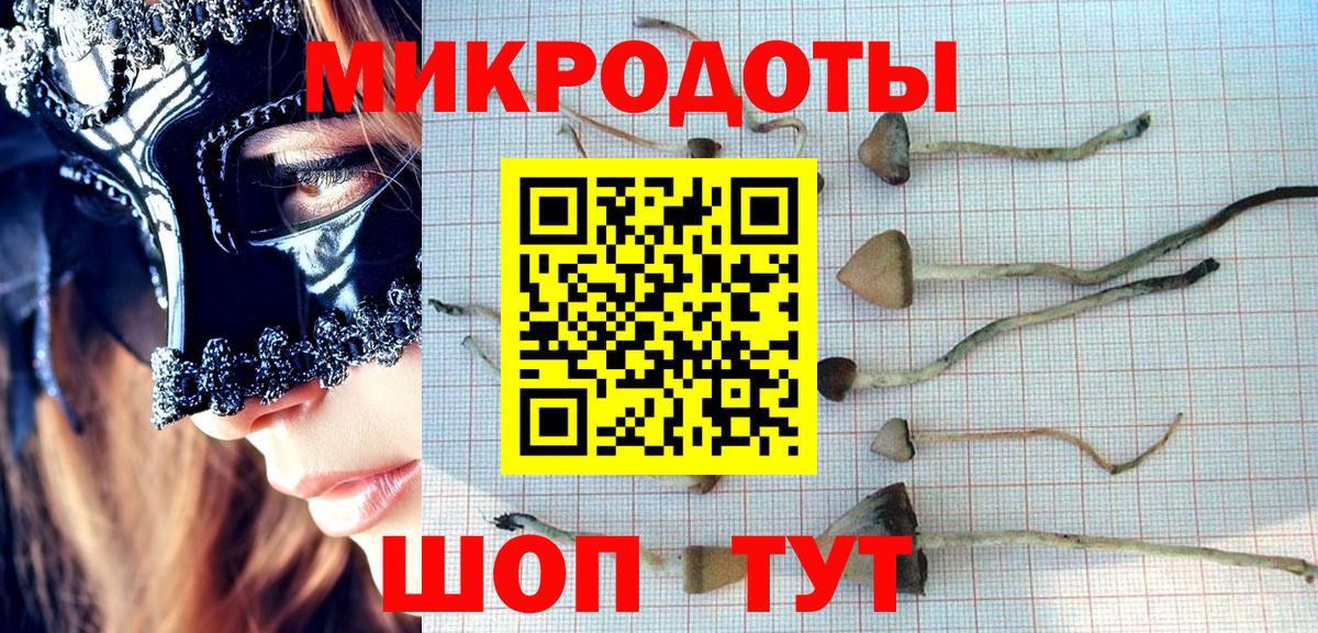 Сорочинск  где найти   Вход с VPN  Псилоцибиновые грибы Magic Shrooms 
