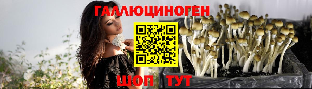 Галлюциногенные грибы мицелий Сорочинск